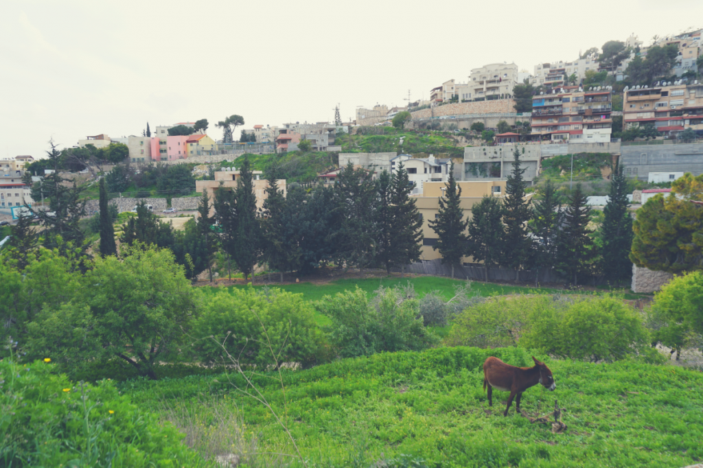 Nazareth